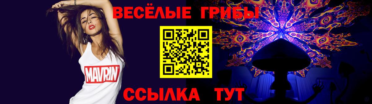 Галлюциногенные грибы Psilocybine cubensis Одинцово